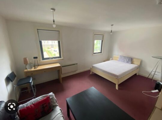 市中心近S大studio出租